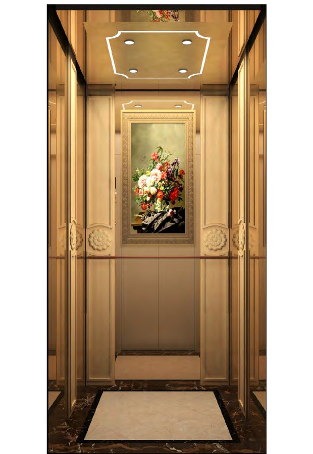 Kabin lif FJ-B-J09